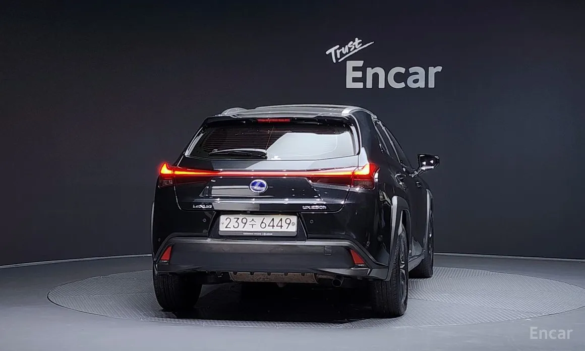 Lexus UX 2019 2.0 2WD