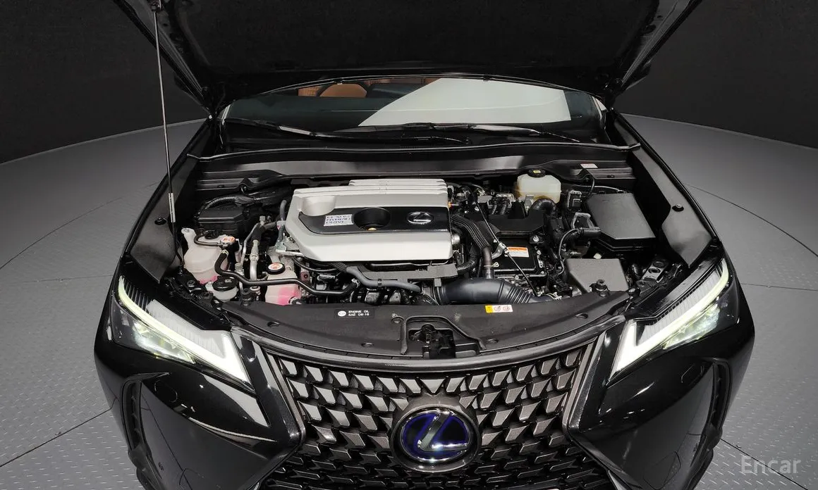 Lexus UX 2019 2.0 2WD
