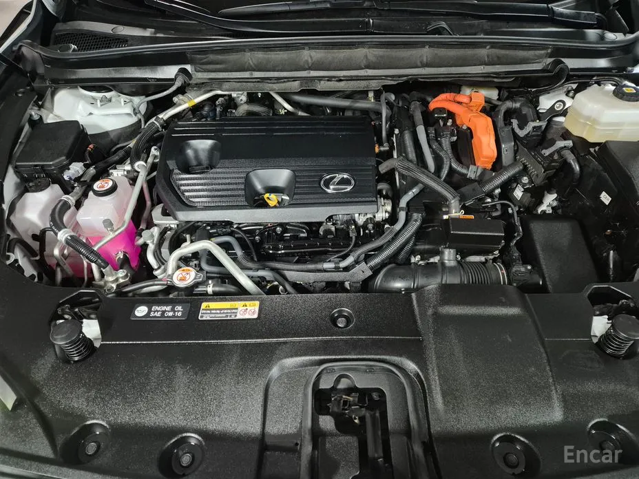 Lexus RX 2023 Luxury