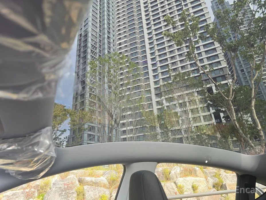 Tesla Model Y 2020 RWD