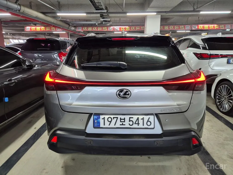 Lexus UX 2019 2.0 2WD