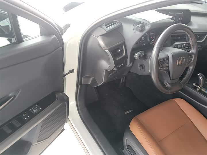 Lexus UX Hybrid 2020 2020款 300e 纯·悦版