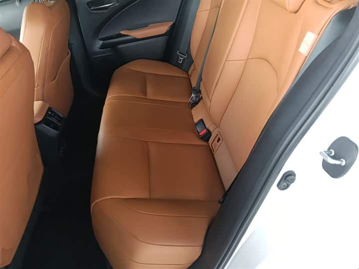 Lexus UX Hybrid 2020 2020款 300e 纯·悦版