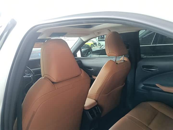 Lexus UX Hybrid 2020 2020款 300e 纯·悦版