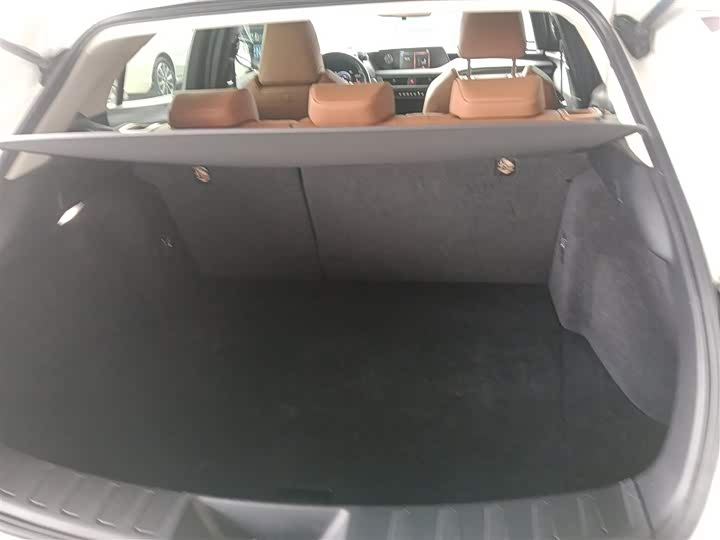 Lexus UX Hybrid 2020 2020款 300e 纯·悦版