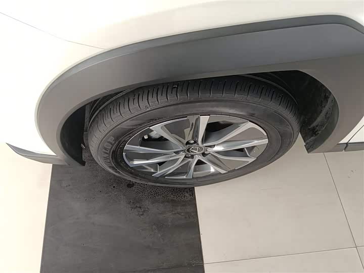 Lexus UX Hybrid 2020 2020款 300e 纯·悦版