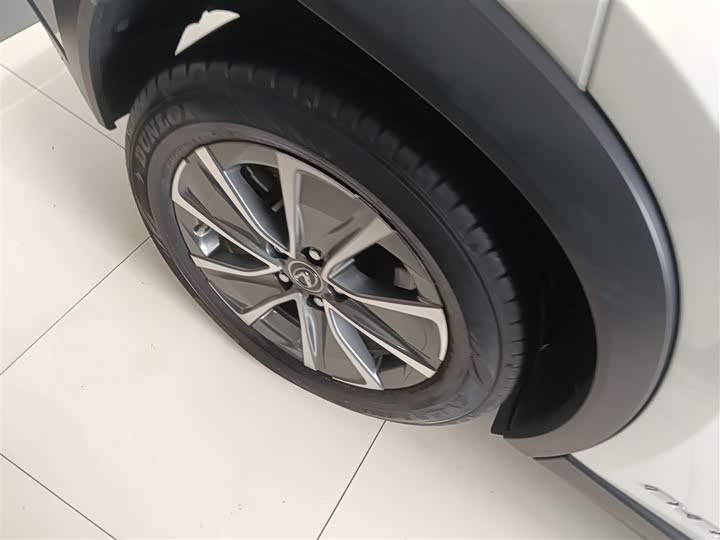 Lexus UX Hybrid 2020 2020款 300e 纯·悦版