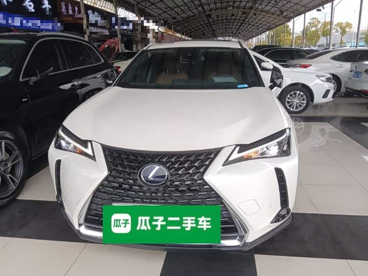 Lexus UX Hybrid 2020 2020款 300e 纯·悦版