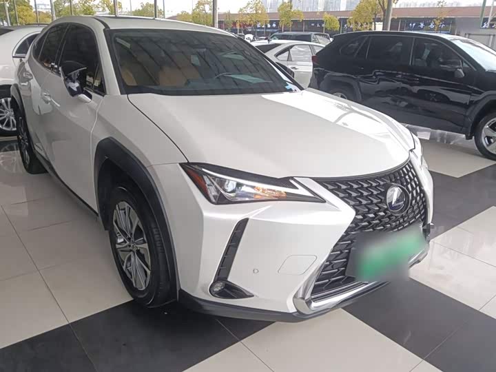 Lexus UX Hybrid 2020 2020款 300e 纯·悦版