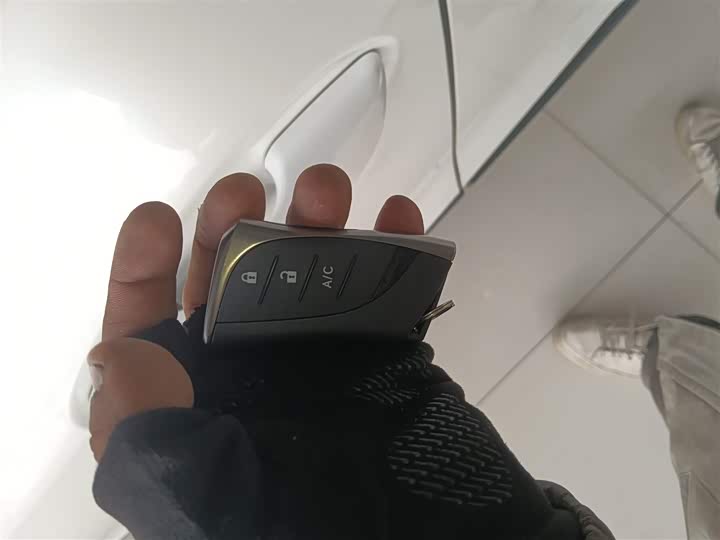 Lexus UX Hybrid 2020 2020款 300e 纯·悦版