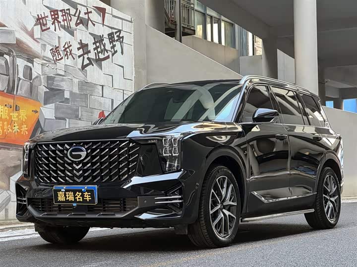 GAC Trumpchi GS8 2025 2025款 领航系列 2.0TGDI 两驱豪华版 5座