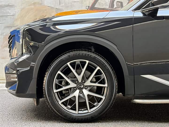 GAC Trumpchi GS8 2025 2025款 领航系列 2.0TGDI 两驱豪华版 5座