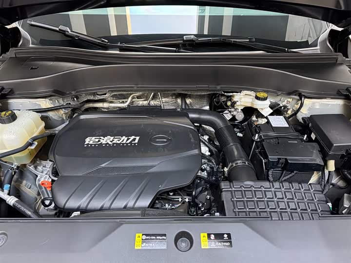 GAC Trumpchi GS8 2025 2025款 领航系列 2.0TGDI 两驱豪华版 5座