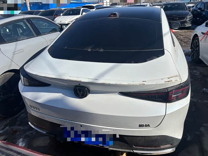Changan Yida 2023 2023款 蓝鲸NE 1.5T GDI DCT尊贵型