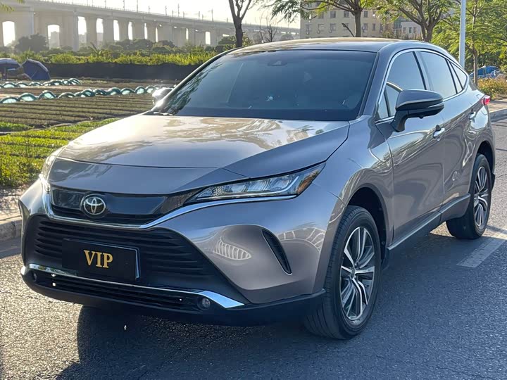 Toyota Harrier 2023 2023款 2.0L CVT两驱进取版