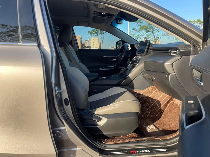 Toyota Harrier 2023 2023款 2.0L CVT两驱进取版