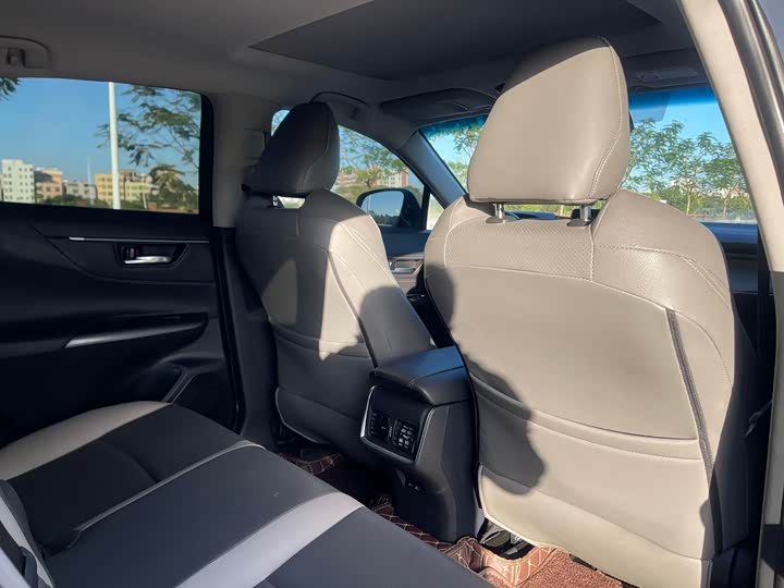 Toyota Harrier 2023 2023款 2.0L CVT两驱进取版