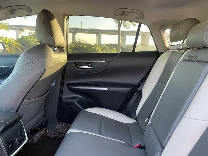 Toyota Harrier 2023 2023款 2.0L CVT两驱进取版