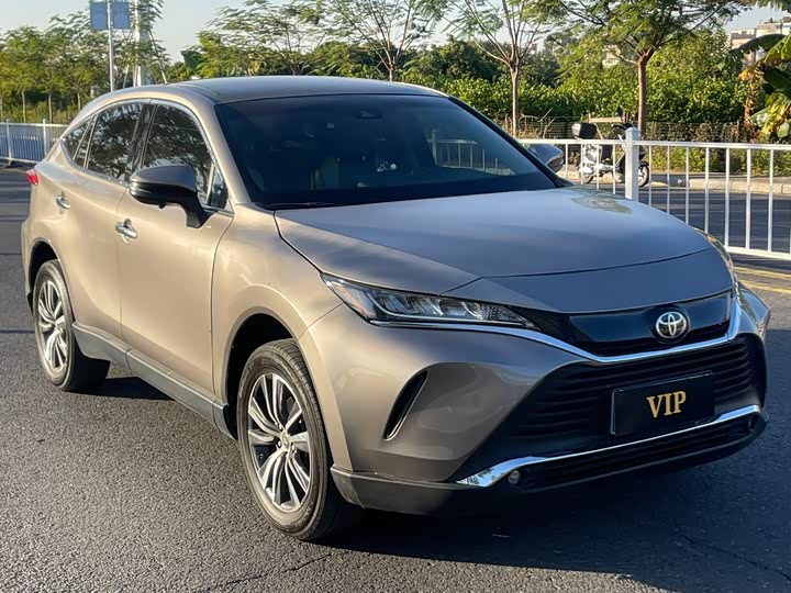 Toyota Harrier 2023 2023款 2.0L CVT两驱进取版