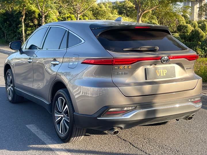 Toyota Harrier 2023 2023款 2.0L CVT两驱进取版