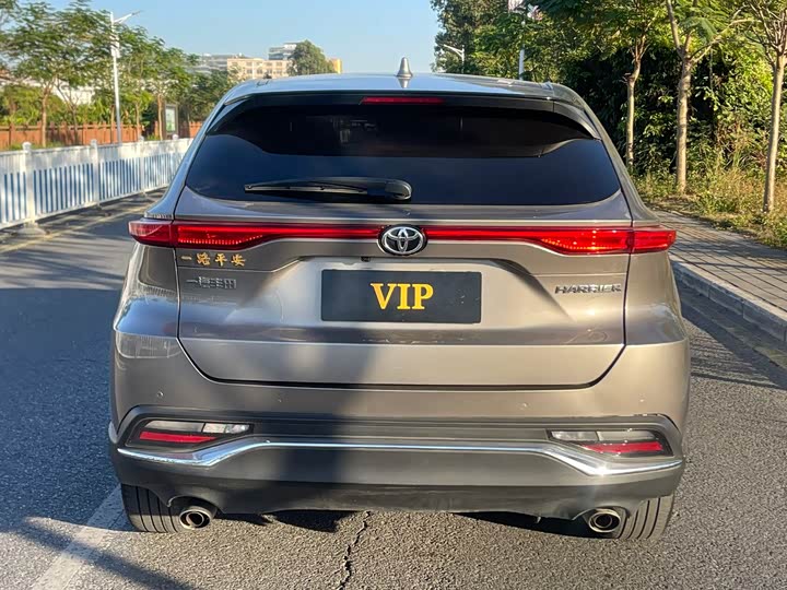 Toyota Harrier 2023 2023款 2.0L CVT两驱进取版