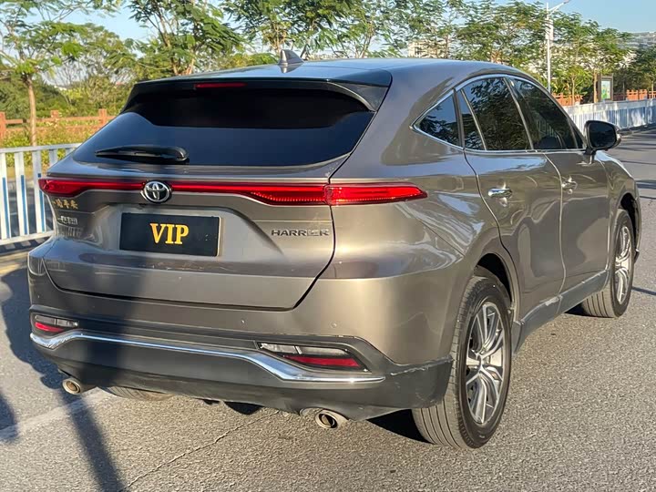 Toyota Harrier 2023 2023款 2.0L CVT两驱进取版