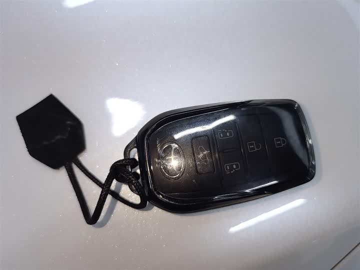 Toyota Sienna 2024 2024款 2.5L混动 四驱尊贵版