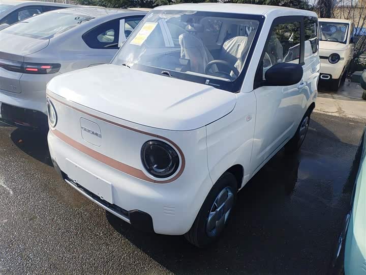 Geely Galaxy Panda Mini 2025 2025款 熊猫mini 210km 元气熊