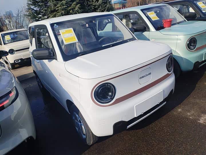 Geely Galaxy Panda Mini 2025 2025款 熊猫mini 210km 元气熊
