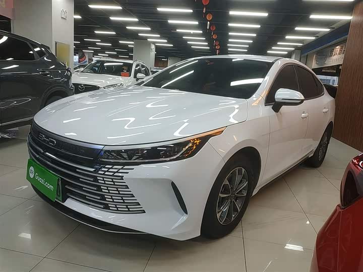 BYD Destroyer 05 2024 2024款 荣耀版 DM-i 55KM 豪华型