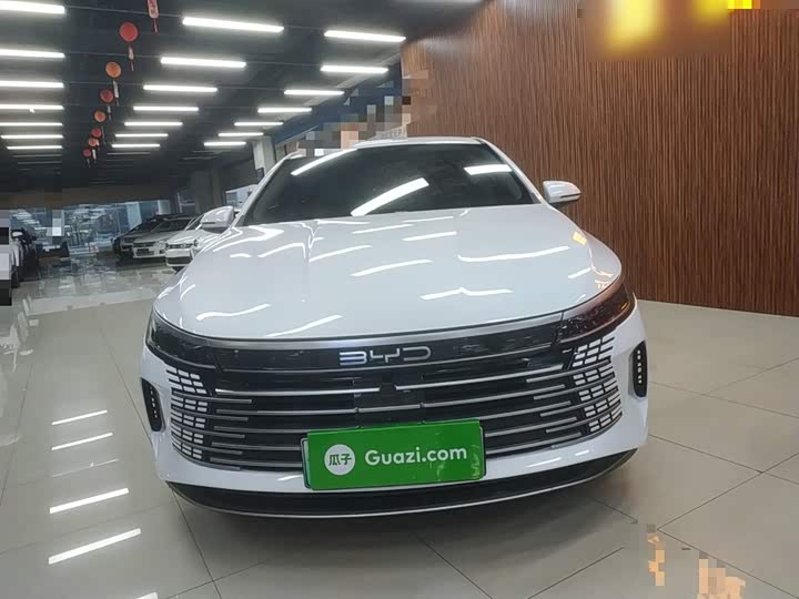 BYD Destroyer 05 2024 2024款 荣耀版 DM-i 55KM 豪华型