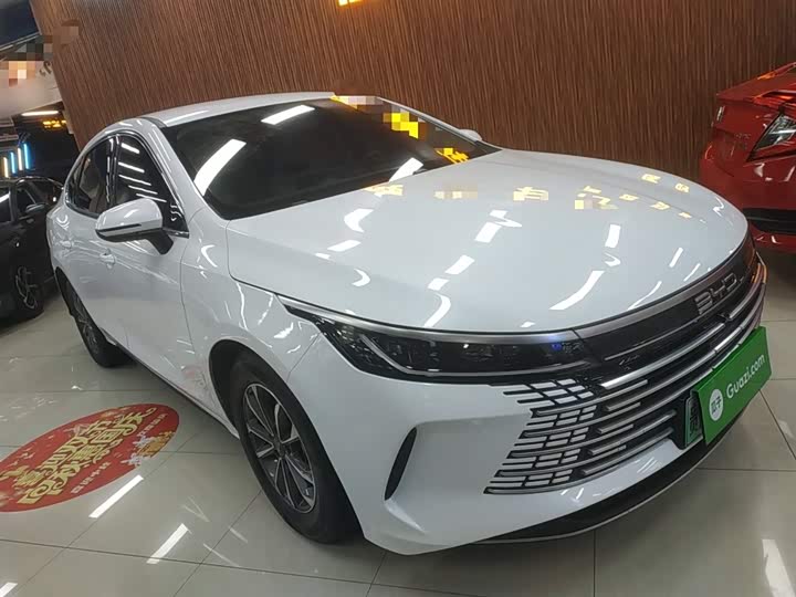 BYD Destroyer 05 2024 2024款 荣耀版 DM-i 55KM 豪华型