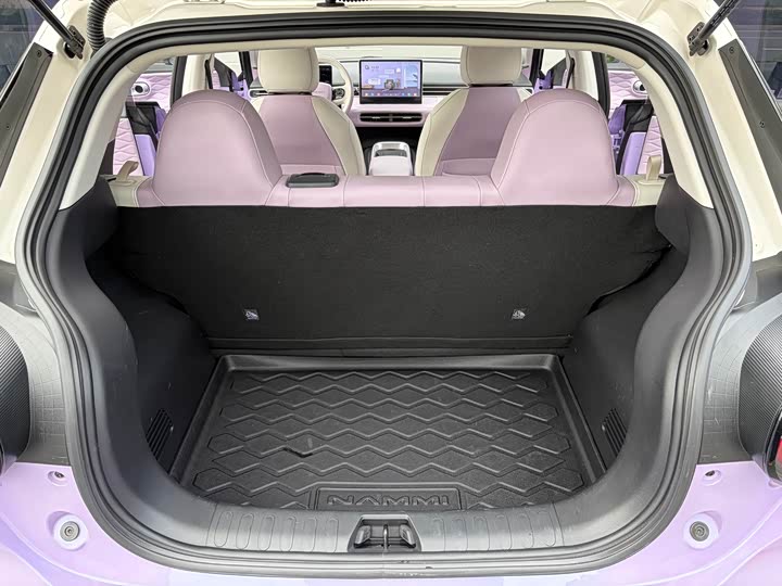 Dongfeng Nammi 01 2024 2024款 430 Plus智+