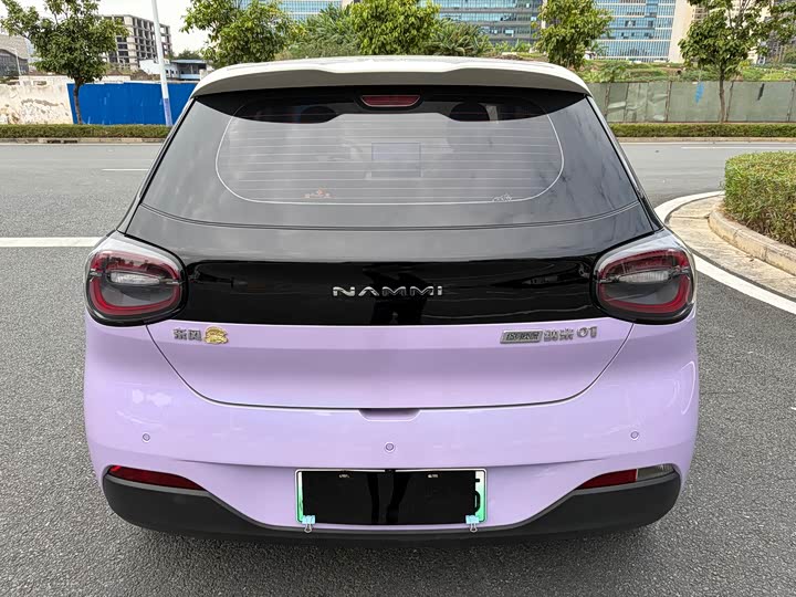 Dongfeng Nammi 01 2024 2024款 430 Plus智+