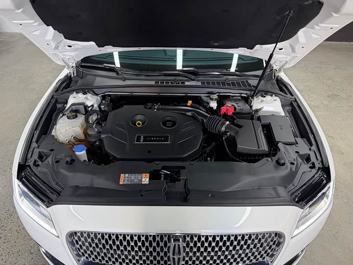 Lincoln Continental 2019 2019款 2.0T 两驱尊享版 国V