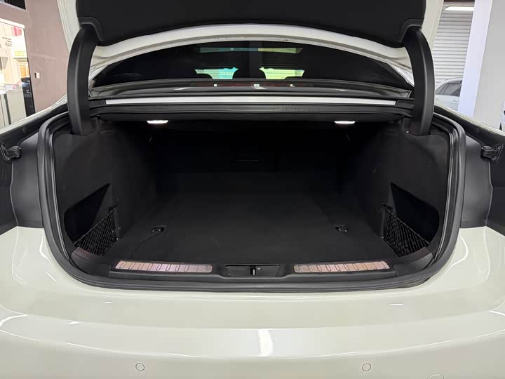 Lincoln Continental 2019 2019款 2.0T 两驱尊享版 国V