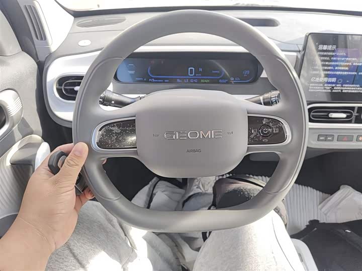 Geely Galaxy Panda Mini 2025 2025款 熊猫mini 210km 元气熊