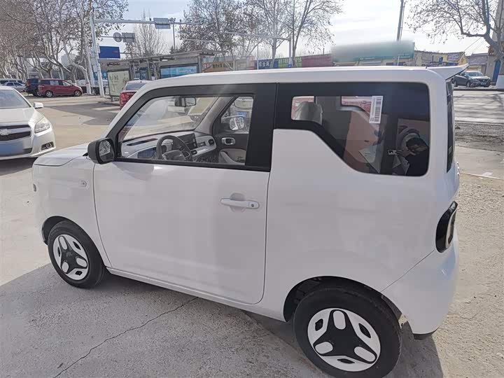 Geely Galaxy Panda Mini 2025 2025款 熊猫mini 210km 元气熊