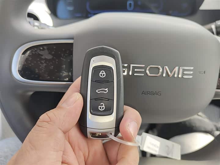 Geely Galaxy Panda Mini 2025 2025款 熊猫mini 210km 元气熊