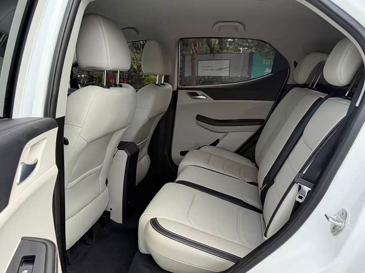 BYD Yuan Pro 2021 2021款 401KM 豪华型