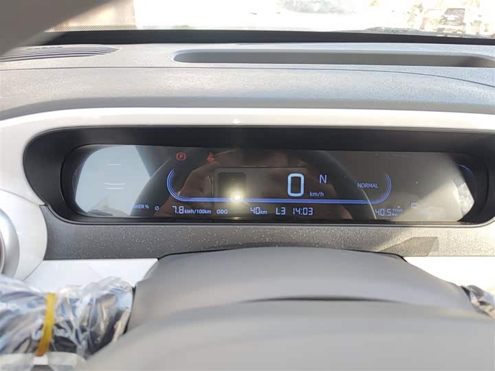 Geely Galaxy Panda Mini 2025 2025款 熊猫mini 210km 元气熊