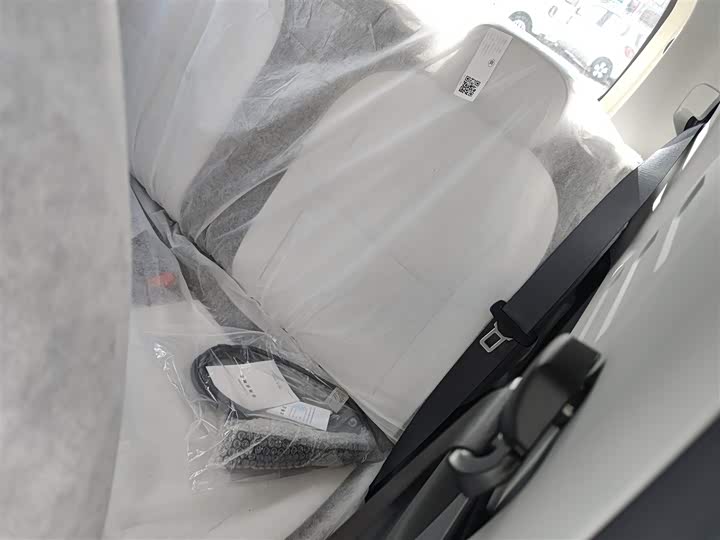 Geely Galaxy Panda Mini 2025 2025款 熊猫mini 210km 元气熊