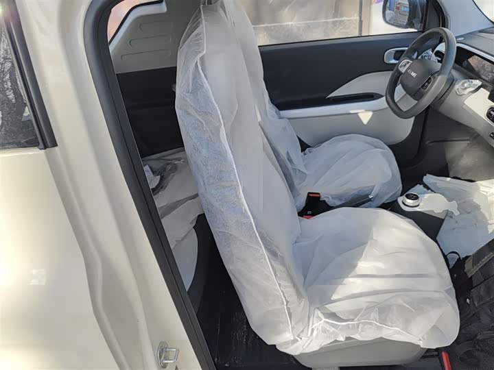 Geely Galaxy Panda Mini 2025 2025款 熊猫mini 210km 元气熊