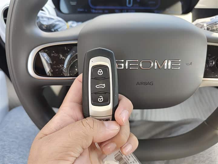 Geely Galaxy Panda Mini 2025 2025款 熊猫mini 210km 元气熊