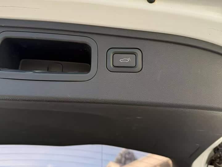 Bestune T99 2020 2020款 20TD 自动尊享型