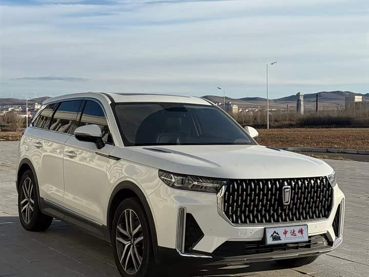 Bestune T99 2020 2020款 20TD 自动尊享型