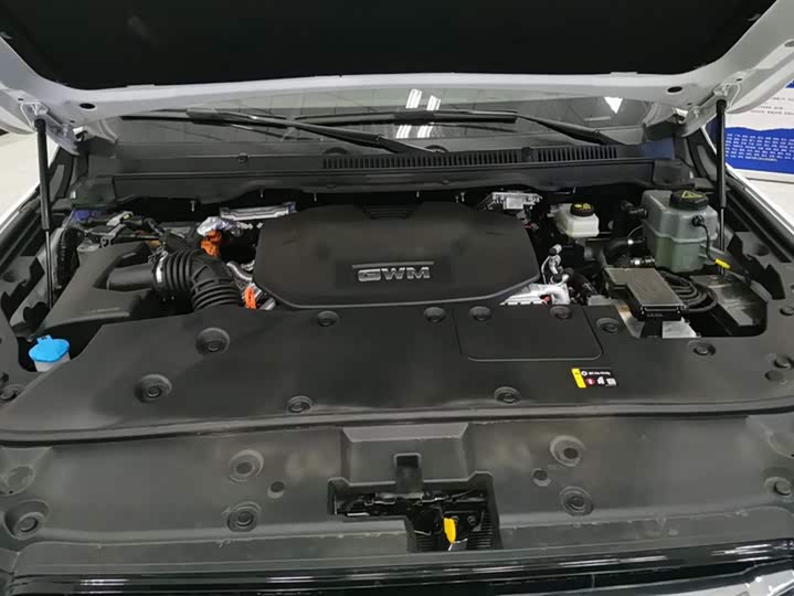 Tank 500 Hybrid 2025 2025款 Hi4-Z