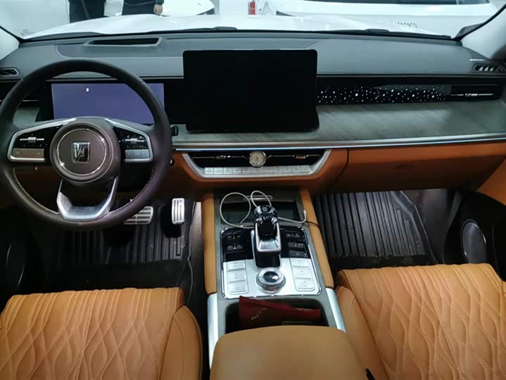 Tank 500 Hybrid 2025 2025款 Hi4-Z