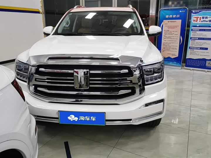 Tank 500 Hybrid 2025 2025款 Hi4-Z