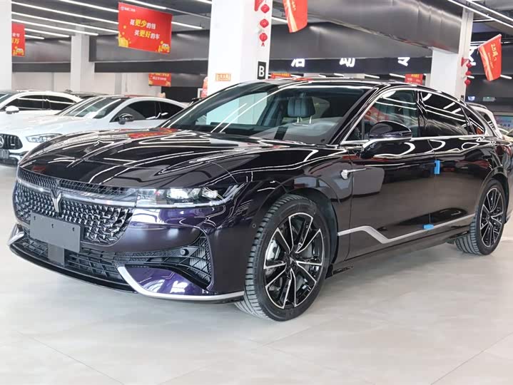 Voyah Passion 2024 2024款 PHEV 四驱超长续航旗舰版